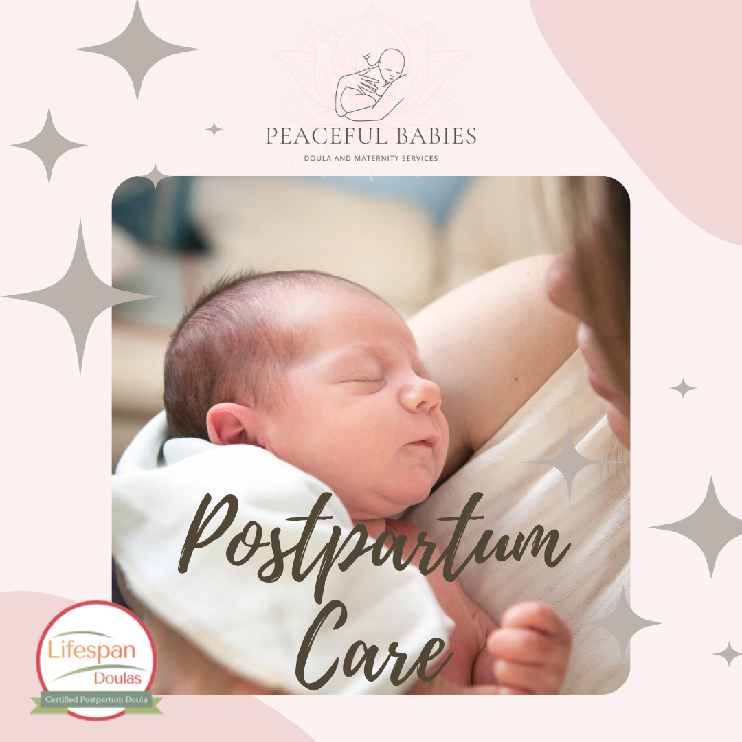 Postpartum Doula Support