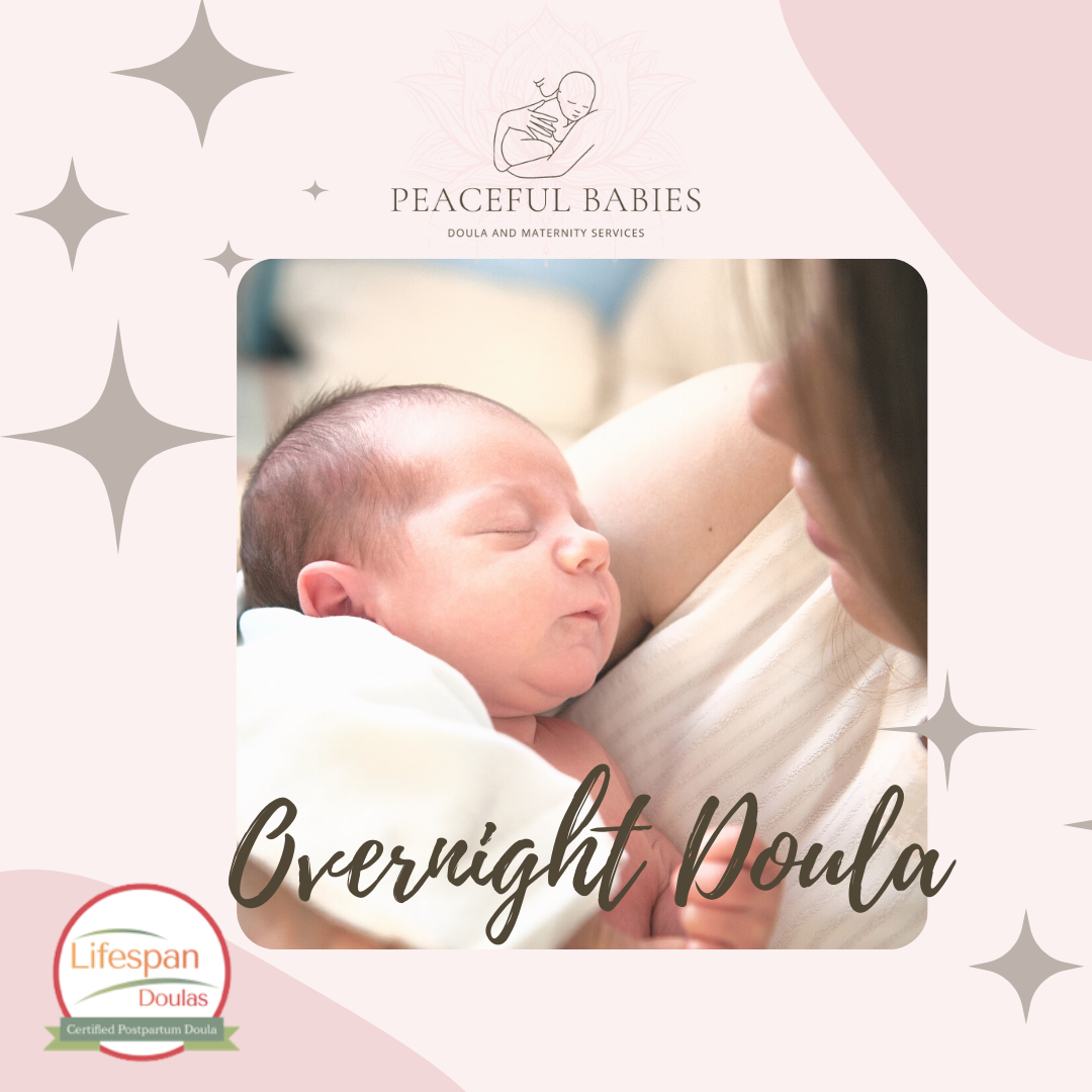 4 nights Overnight Infant or Newborn Care